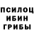 Псилоцибиновые грибы MAGIC MUSHROOMS Dmitry Nevzorov